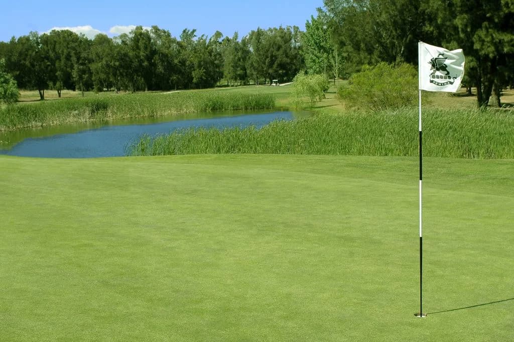 Penina Hotel & Golf Resort, photo 7 of 14