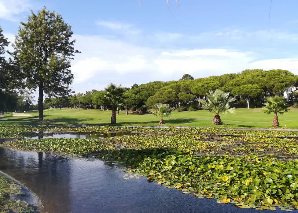 Pinheiros Altos Golf Resort golf club